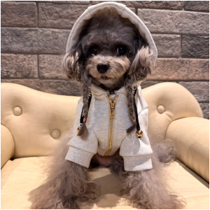 ショート丈パーカー　Gray