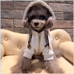 ショート丈パーカー　Gray