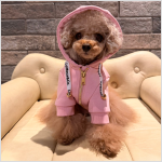 ショート丈パーカー　Pink