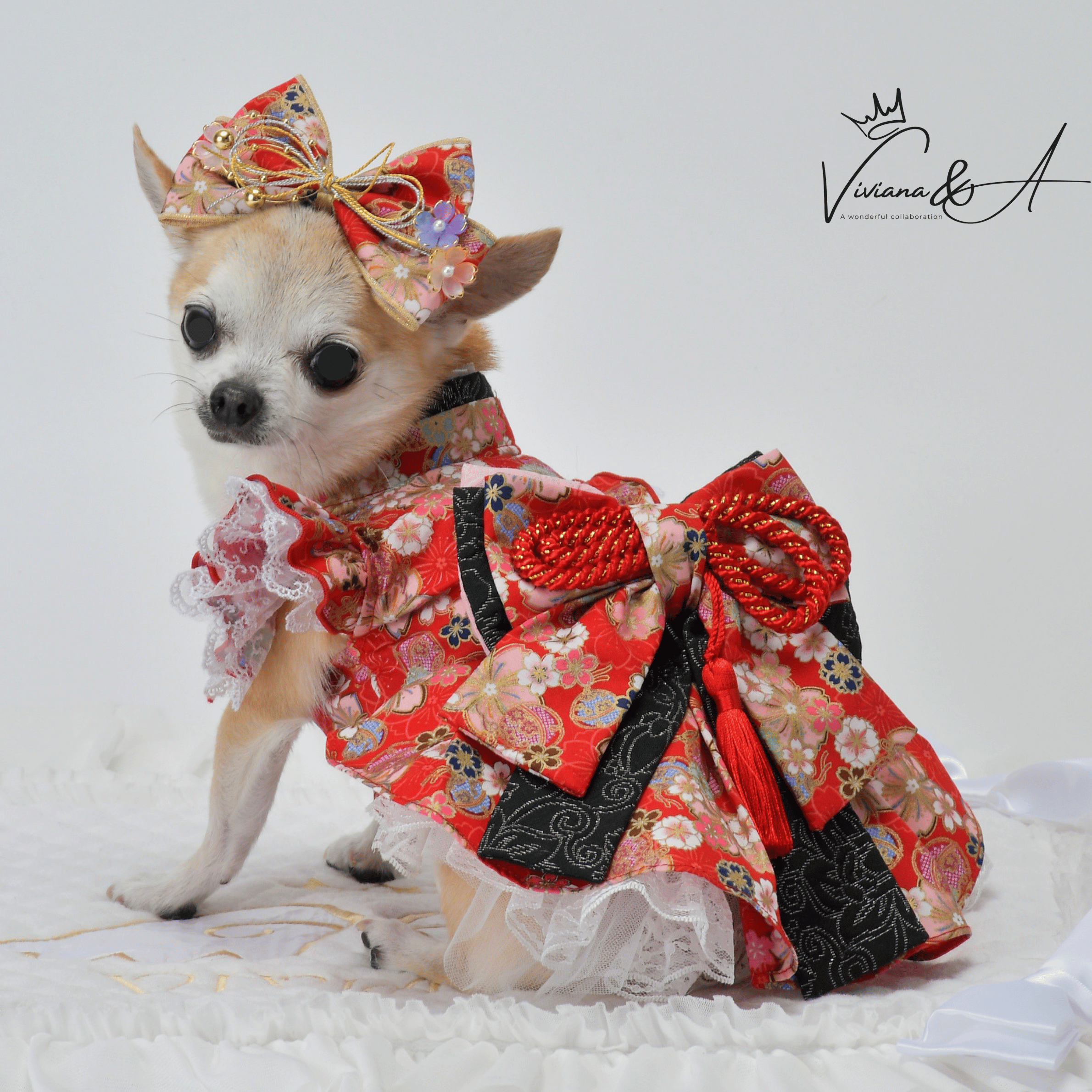 【予約商品】SAKURA   Red
