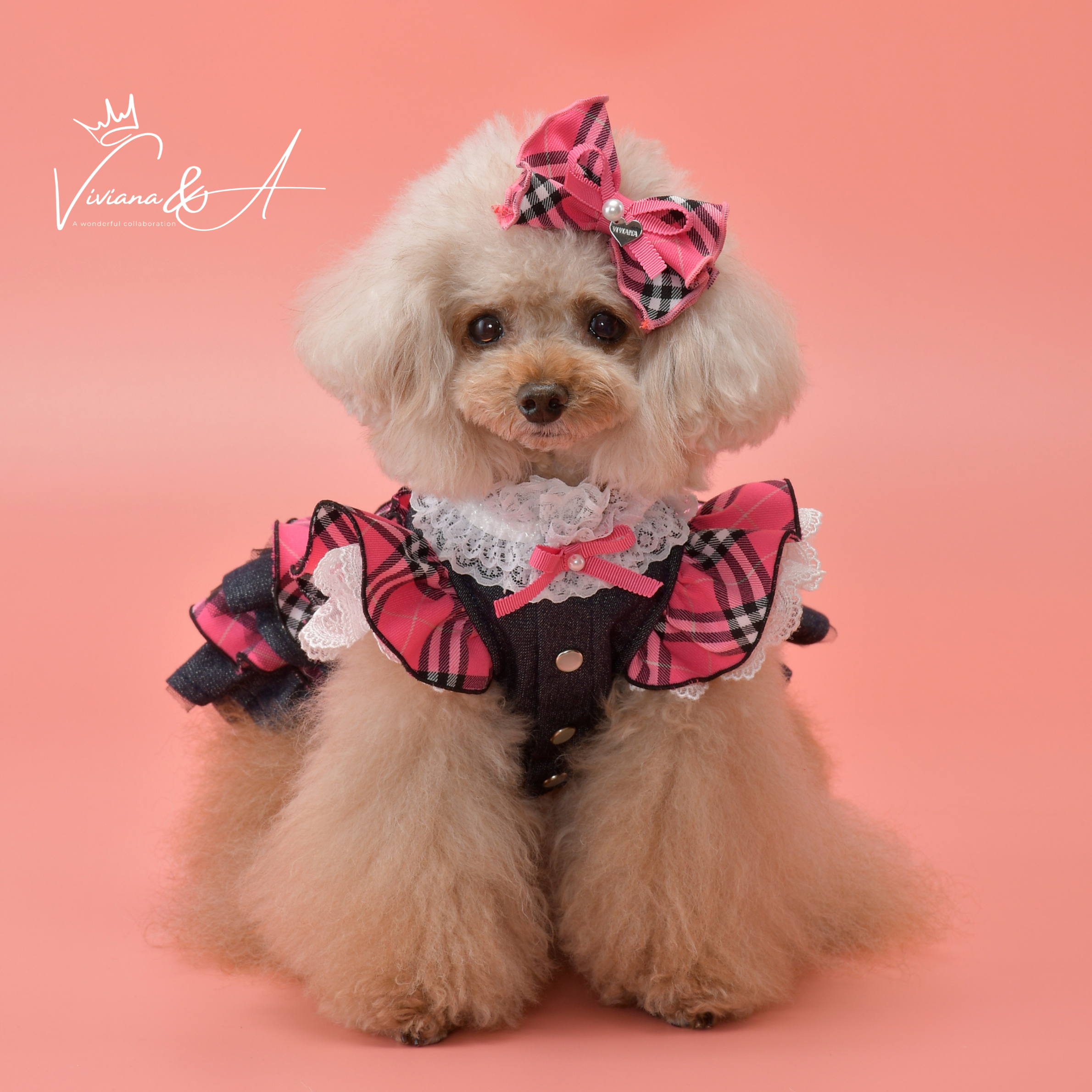 【予約商品】キャンディチェックワンピース Pink