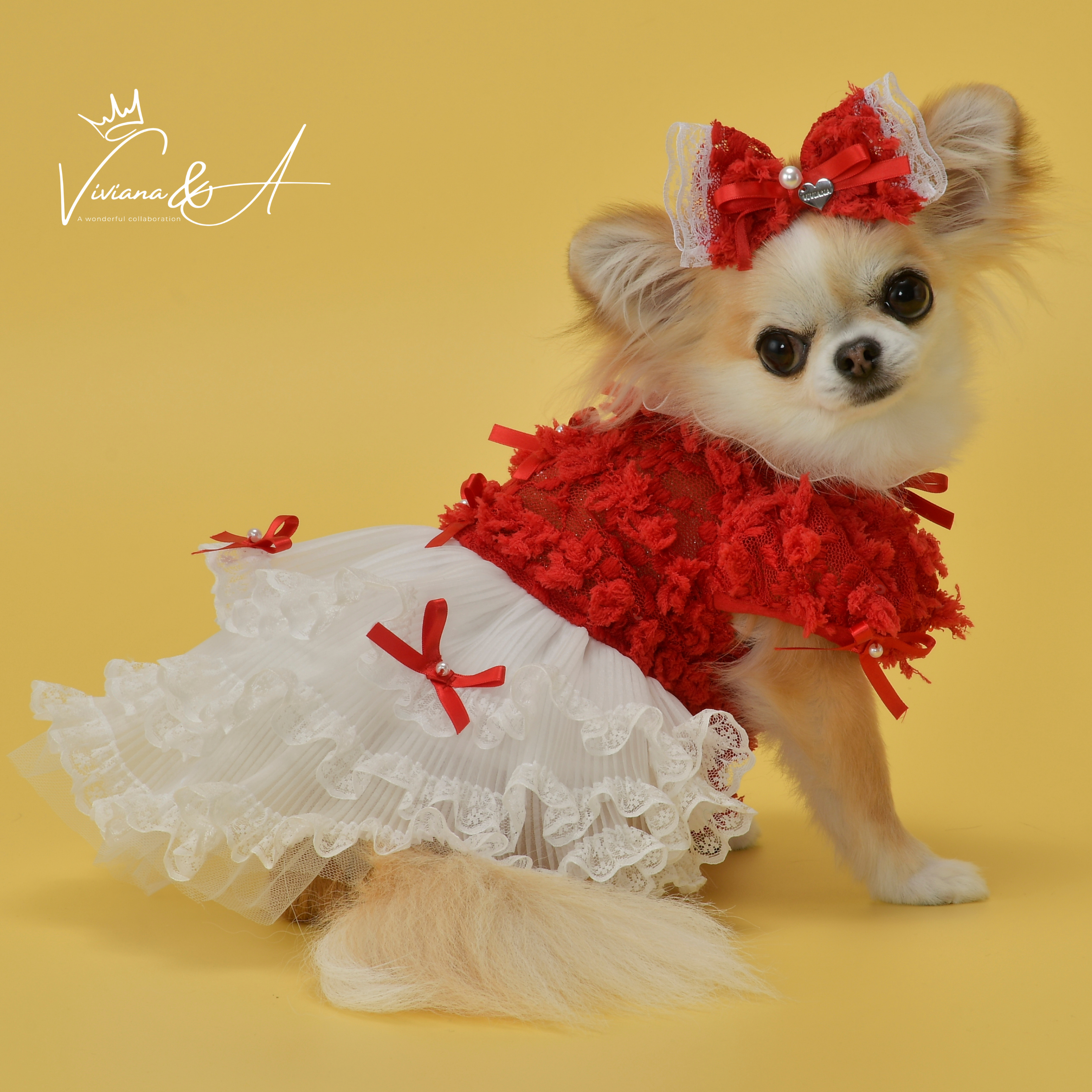 【予約商品】フェアリーレースワンピース   Red