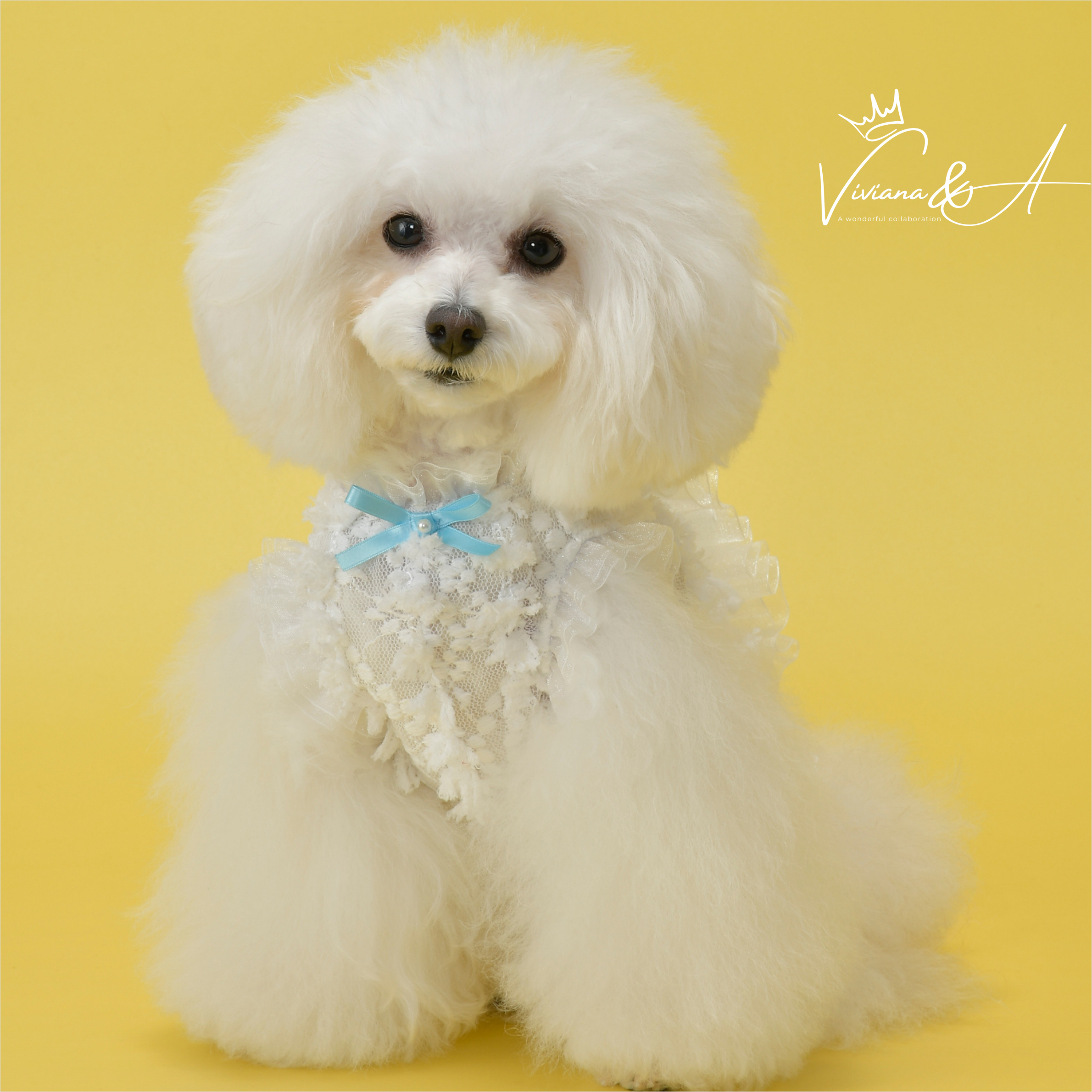 【予約商品】フェアリーレースタンクトップ   Blue