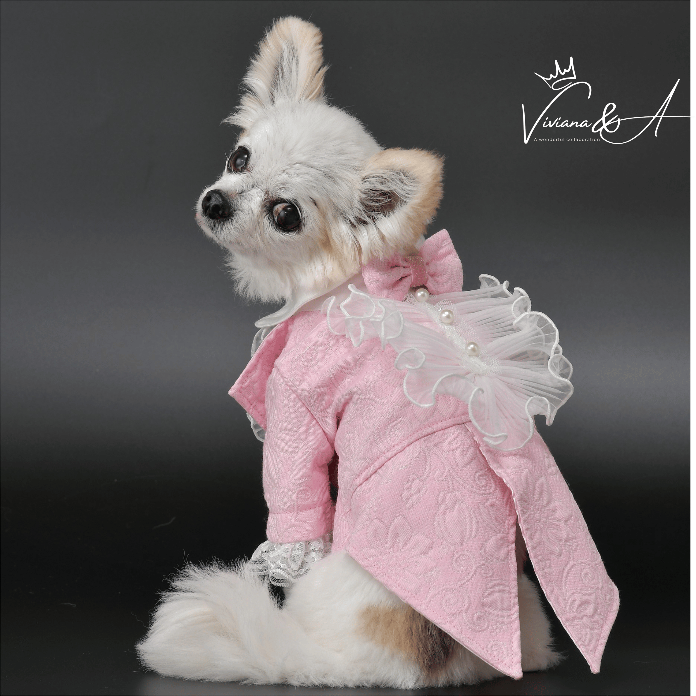 【予約商品】ロイヤルジャガードタキシード  Pink