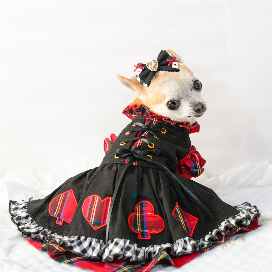 クイーンドレス