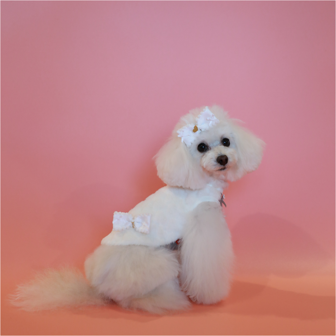 テラヘルツハートファータンクトップ　 White