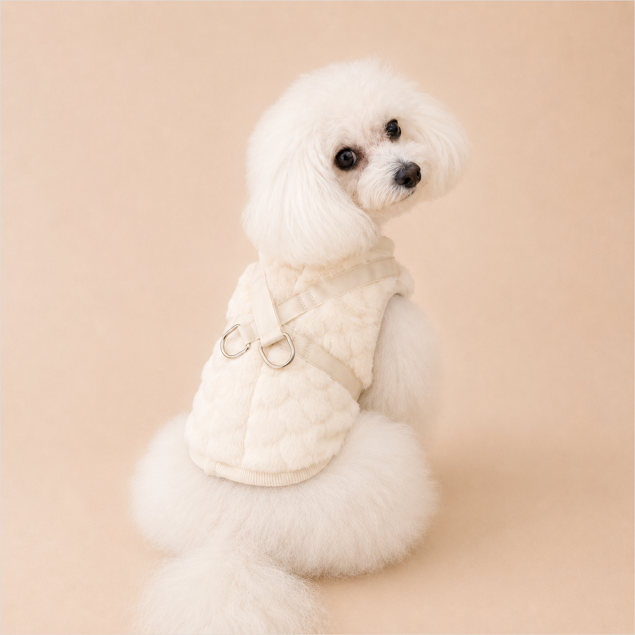 テラヘルツハートファーハーネス　White